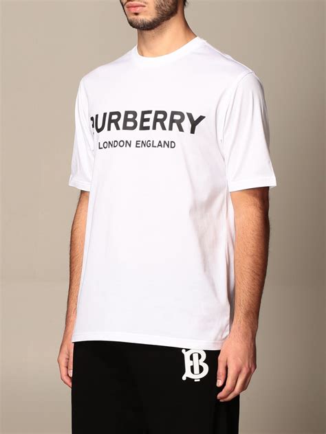 burberry t-shirt white|burberry white t shirt men.